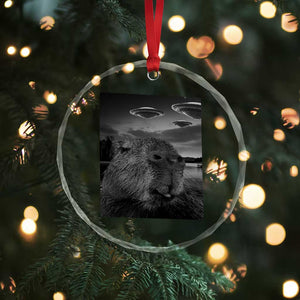 Funny Graphic Capybara Selfie with UFOs Weird Crystal Glass Ornament TS10 Print Your Wear
