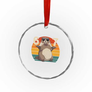 Funny Groundhog 67 Crystal Glass Ornament Six Seven Meme Retro Vintage Woodchuck Day TS11 Print Your Wear