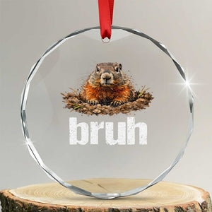 Funny Groundhog Crystal Glass Ornament Ground Hog Meme Lover Bruh Groundhog Day TS10 Transparent Glass 3'' Circle Print Your Wear
