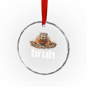 Funny Groundhog Crystal Glass Ornament Ground Hog Meme Lover Bruh Groundhog Day TS10 Print Your Wear