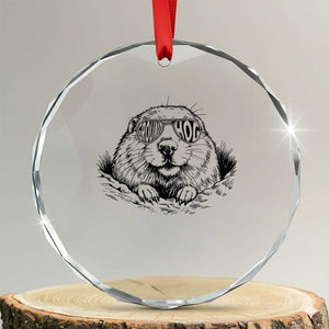 Funny Groundhog Face Woodchuck Sunglassess Crystal Glass Ornament TS11 Transparent Glass 3'' Circle Print Your Wear