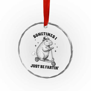 Funny Groundhog Scooter Crystal Glass Ornament Sometimes I Just Be Fartin TS14 Print Your Wear