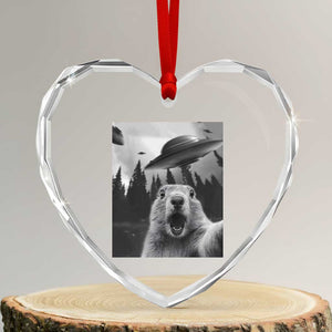 Funny Groundhog Selfie With Alien UFOs Weird Ground Hog Day Heart Crystal Glass Ornament TS11 Transparent Glass 3'' Heart Print Your Wear