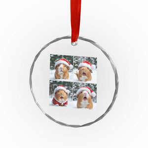 Funny Guinea Pig With Santa Hat Photobooth Crystal Glass Ornament Christmas Gift TS12 Print Your Wear