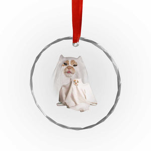 Funny Halloween Ghost Cat Meme Crystal Glass Ornament TS10 Print Your Wear