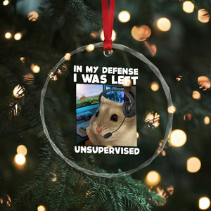 Funny Hamster Gamer Crystal Glass Ornament In My Defense I Was Left Unsupervised TS12 Print Your Wear