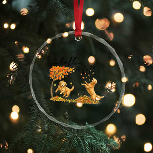 Funny Hello Fall Thanksgiving Golden Retriever Crystal Glass Ornament TS12 Print Your Wear