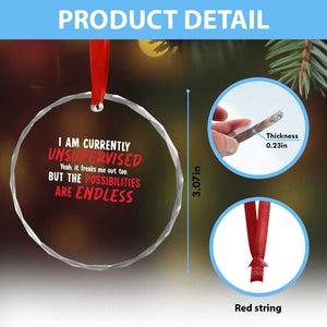 Funny I Am Currently Unsupervised But The Possibilities Are Endless Crystal Glass Ornament TS11 Print Your Wear