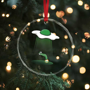 Funny Irish St Patricks Day Crystal Glass Ornament UFO Egg Bacon Abduction Funny TS10 Print Your Wear