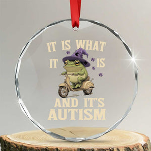 Funny It Is What It Is And It's Autism Crystal Glass Ornament Meme Autism Awareness Frog TS11 Transparent Glass 3'' Circle Print Your Wear