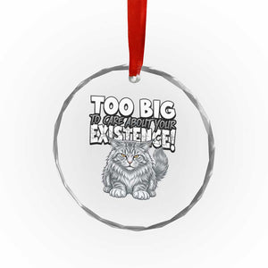 Funny Maine Coon Cat Crystal Glass Ornament Too Big To Care About Your Existence TS12 Print Your Wear