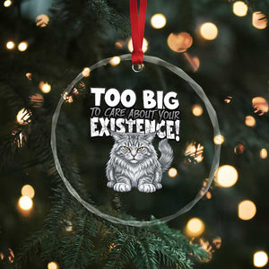 Funny Maine Coon Cat Crystal Glass Ornament Too Big To Care About Your Existence TS12 Print Your Wear