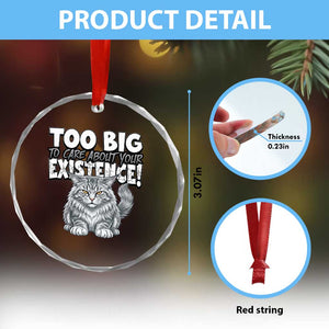 Funny Maine Coon Cat Crystal Glass Ornament Too Big To Care About Your Existence TS12 Print Your Wear