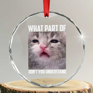 Funny Math Cat Lover Crystal Glass Ornament What Part Of Do Not You Understand TS14 Transparent Glass 3'' Circle Print Your Wear