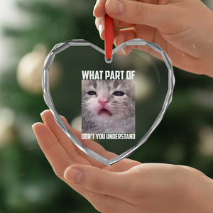 Funny Math Cat Lover Heart Crystal Glass Ornament What Part Of Do Not You Understand TS14 Print Your Wear