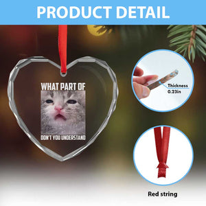 Funny Math Cat Lover Heart Crystal Glass Ornament What Part Of Do Not You Understand TS14 Print Your Wear