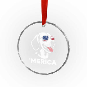 Funny Merica Beagle Lover 4th Of July Crystal Glass Ornament Patriotic Dog Gift TS12 Print Your Wear