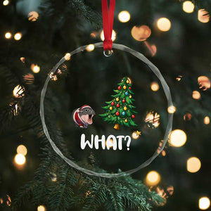 Funny Moo Deng Christmas Crystal Glass Ornament What Santa Cute Hippo Zoo Meme Baby Pygmy Xmas Tree TS11 Print Your Wear