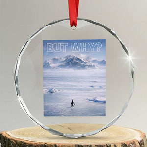 Funny Nihilist Penguin But Why Meme Crystal Glass Ornament Existential Arctic Scene Icy Wilderness Quiet Thinkers TS02 Transparent Glass 3'' Circle Print Your Wear