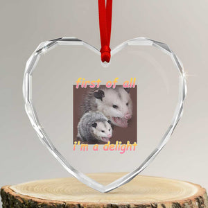 Funny Opossum Heart Crystal Glass Ornament First Of All I'm A Delight TS02 Transparent Glass 3'' Heart Print Your Wear
