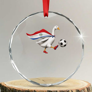 Funny Paraguay Soccer Crystal Glass Ornament Goose Wearing Paraguayan Flag Patriotic Football Fan Graphic