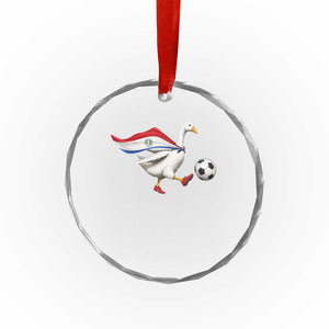 Funny Paraguay Soccer Crystal Glass Ornament Goose Wearing Paraguayan Flag Patriotic Football Fan Graphic