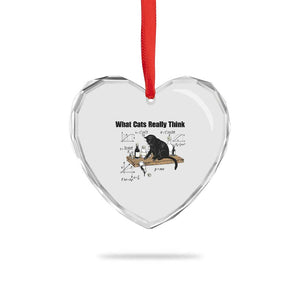 Funny Physics Cat Meme Heart Crystal Glass Ornament What Cats Really Think TS12 Print Your Wear