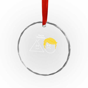 Funny Political Geometry Joke Crystal Glass Ornament Youre Pointless Graphic TS12 Print Your Wear