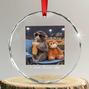 Funny Punch Monkey Baseball Crystal Glass Ornament I Live Here Now Ballpark Graphic TS14 Transparent Glass 3'' Circle Print Your Wear
