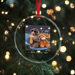 Funny Punch Monkey Baseball Crystal Glass Ornament I Live Here Now Ballpark Graphic TS14 Print Your Wear
