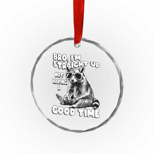 Funny Raccon Sarcastic Crystal Glass Ornament Bro I Am Straight Up Not Even Having A Good Time TS14 Print Your Wear