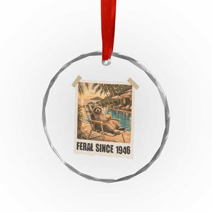Funny Raccoon Feral Since 1946 80th Birthday Crystal Glass Ornament Vintage 80 Year Old Gift