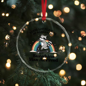 Funny Raccoon Rainbow Crystal Glass Ornament Your Little Ray Of Sarcastic Sunshine Has Arrived TS14 Print Your Wear