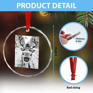 Funny Reindeer Selfie Crystal Glass Ornament TS10 Print Your Wear