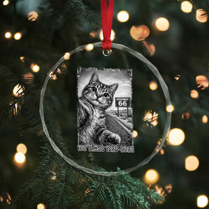 Funny Road Trip Cat Selfie with Highway 66 Crystal Glass Ornament Centennial 1926-2026 Historic Highway Humor TS02 Print Your Wear