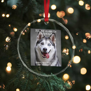 Funny Siberian Husky Meme Crystal Glass Ornament My Name Is Stop That TS12 Print Your Wear