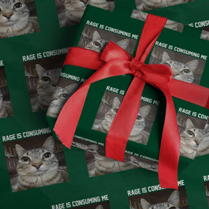 Funny Silly Cat Meme Wrapping Paper Roll Rage Is Consuming Me Staring TS02 Green Print Your Wear