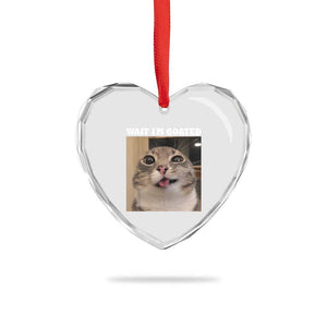 Funny Silly Cat Meme Heart Crystal Glass Ornament Wait Im Goated TS12 Print Your Wear
