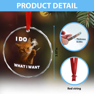Funny Smoking Cat Crystal Glass Ornament I Do What I Want Sarcastic Cats Meme TS12 Print Your Wear