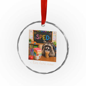 Funny SPED Raccoon Teacher Crystal Glass Ornament I Live Here Now TS12 Print Your Wear