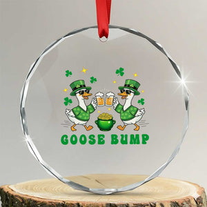 Funny St Patricks Day Goose Drinking Beer Crystal Glass Ornament Goose Bump TS14 Transparent Glass 3'' Circle Print Your Wear