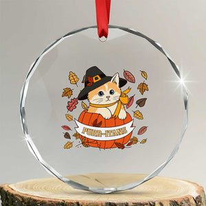 Funny Thanksgiving Cat Lover Crystal Glass Ornament Purritans Pilgrim Puritans Hat TS11 Transparent Glass 3'' Circle Print Your Wear