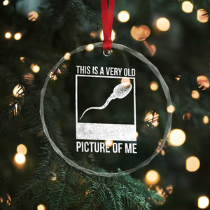 Funny This Is A Very Old Picture Of Me Crystal Glass Ornament Adult Humor Gag Gift TS11 Print Your Wear