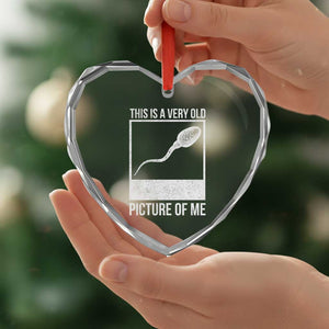 Funny This Is A Very Old Picture Of Me Heart Crystal Glass Ornament Adult Humor Gag Gift TS11 Print Your Wear