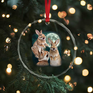 Funny Three Bunny Moon Humorous Rabbit Meme Crystal Glass Ornament TS11 Print Your Wear