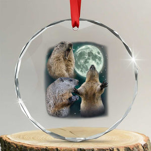 Funny Three Groundhog Moon Groundhog Day Meme Crystal Glass Ornament TS11 Transparent Glass 3'' Circle Print Your Wear