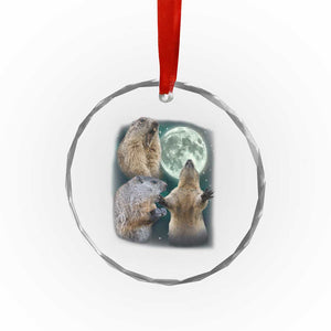 Funny Three Groundhog Moon Groundhog Day Meme Crystal Glass Ornament TS11 Print Your Wear