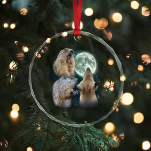 Funny Three Groundhog Moon Groundhog Day Meme Crystal Glass Ornament TS11 Print Your Wear