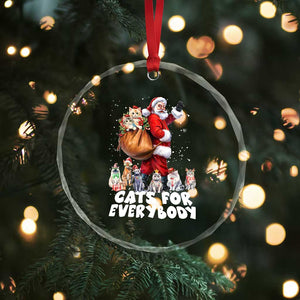 Funny Xmas Cat Crystal Glass Ornament Cats For Everybody Xmas Santa Pet TS11 Print Your Wear