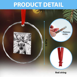 Funny Xmas Reindeer Selfie Crystal Glass Ornament With Santa Xmas Gag Gift TS02 Print Your Wear
